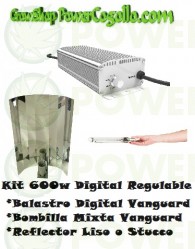 Kit 600w Digital Regulable + Bombilla mixta + Reflector